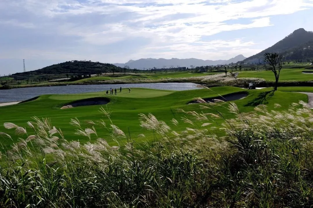 ⛳️스톤베이CC 사진 4