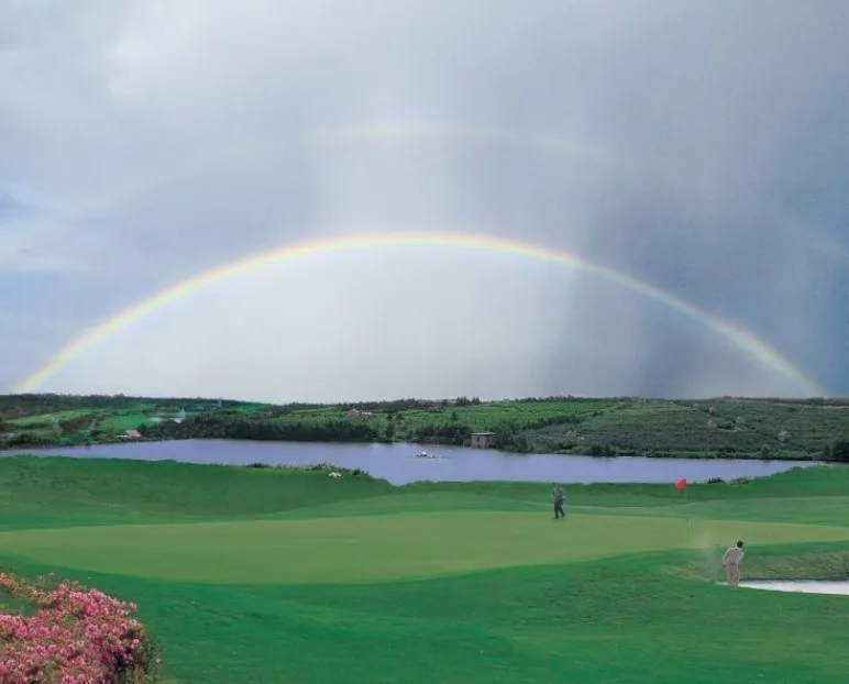 ⛳️오가사라와 설계 사진 1